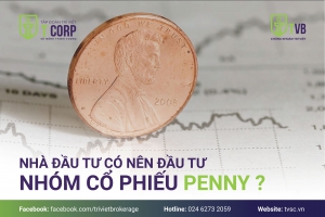 NHÀ ĐẦU TƯ CÓ NÊN ĐẦU TƯ NHÓM CỔ PHIẾU PENNY ? 